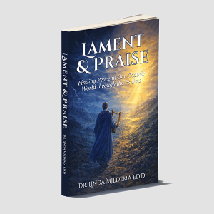 Paperback